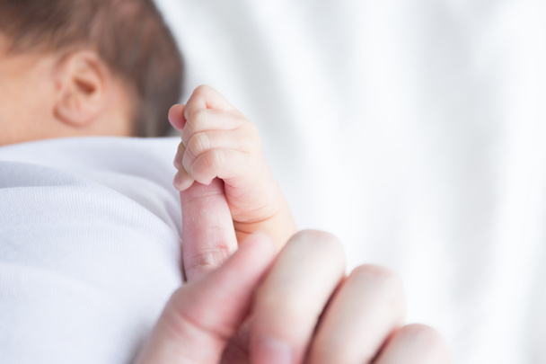 bebek eli - Fotoğraf, Görsel