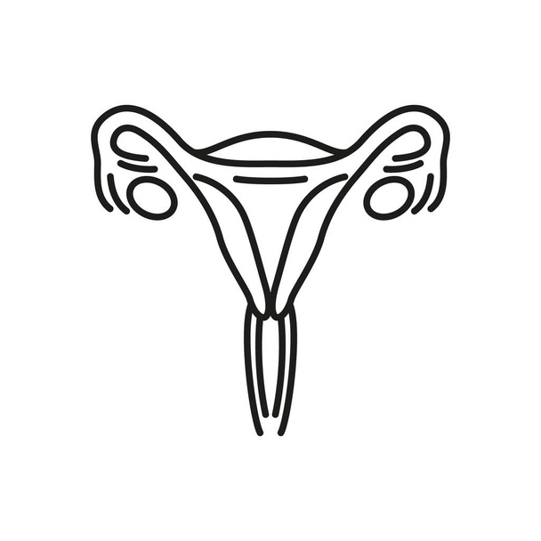 Uterus icon - editable stroke - Vektor, obrázek