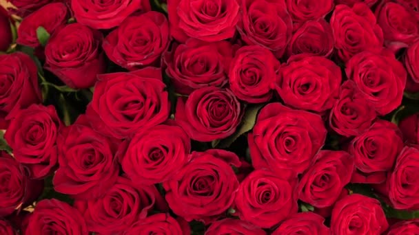 Beautiful red roses bouquet background, top view. Blooming rose flowers, close-up. Wedding backdrop, Valentines Day concept - Filmagem, Vídeo