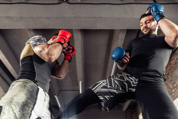 Dos compañeros de combate de un kickboxer en guantes de boxeo practican patadas en un pabellón deportivo - Foto, Imagen