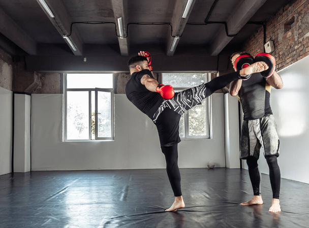 Maschio combattente di formazione calci con il partner con la formazione zampe di boxe - Foto, immagini