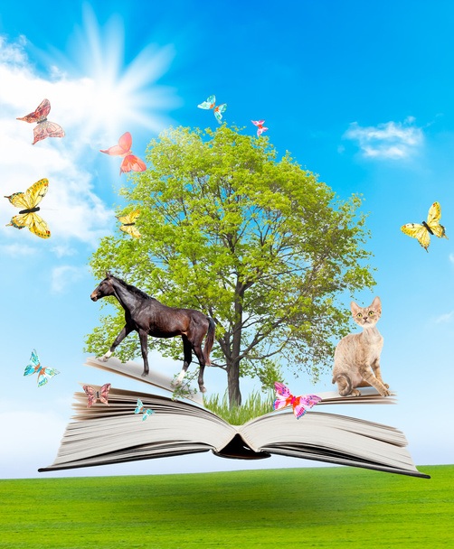 Libro mágico con un árbol verde y diferentes animales
 - Foto, imagen