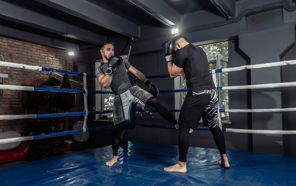 Deux kickboxers, des combattants se battent avec des gants dans un ring de boxe. Partenaires parrains - Photo, image