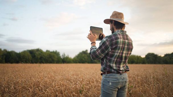 Farmer pracujący z tabletem na polu pszenicy. Agronomist nagrywania wideo na tablecie podczas badania zbiorów pszenicy. Biznesmen analizujący zbiory zboża. Koncepcja rolnictwa - Zdjęcie, obraz