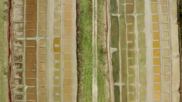 Drone aerial view, flying over salty , canals and ponds forming part of the salt activity like a pattern colors overlooking beautiful graphic landscape footage , France - Footage, Video