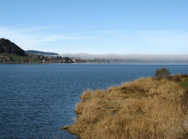 Natural Water Reservoir - Photo, Image