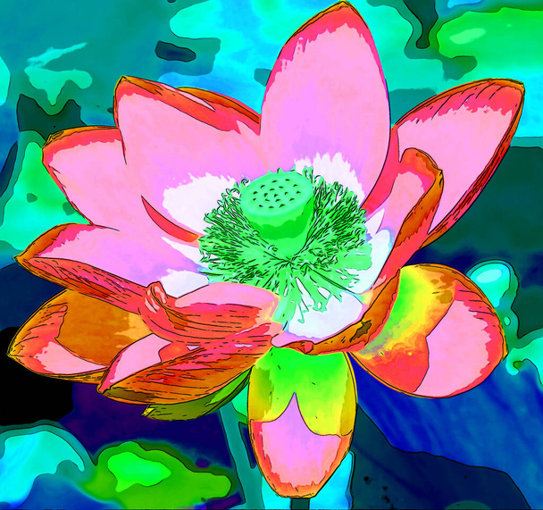 flower illustration pop-art background - 写真・画像