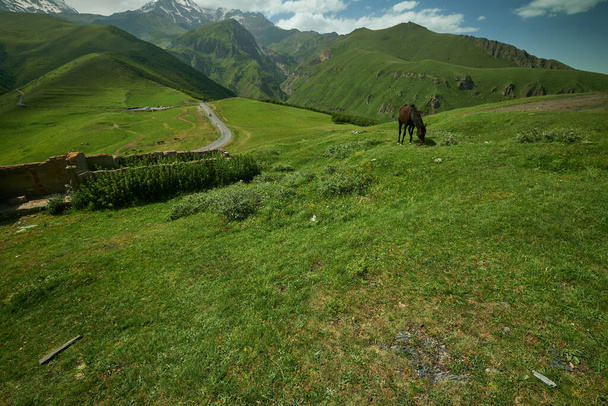Mount Kazbek or Mount Kazbegi in Stepantsminda, Georgia daylight summer view with  wild horses and clouds in the sky in background - Fotografie, Obrázek