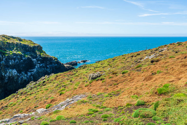 Skomer Island landscape, Wales, UK - Valokuva, kuva