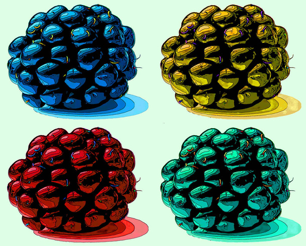 Blackberry-Zeichen Illustration Pop-Art-Hintergrund-Symbol mit Farbflecken - Foto, Bild