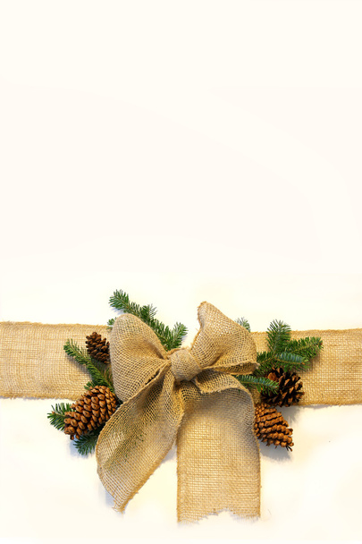 Сплеск різдвяний лук і соснові шишки рамка на білому тлі
 - Фото, зображення