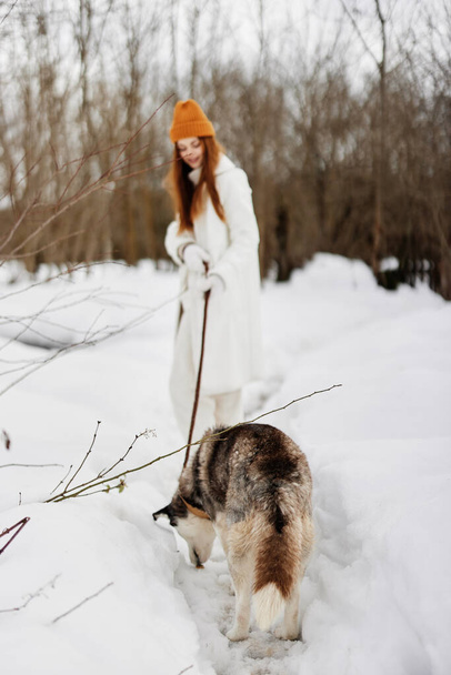 Vrolijke jonge vrouw winterkleren wandelen met de hond husky in de sneeuw frisse lucht. Hoge kwaliteit foto - Foto, afbeelding