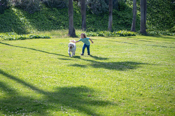 Child running with a dog. Kid with a puppy dog outdoor playing at backyard lawn. Carefree childhood - Valokuva, kuva