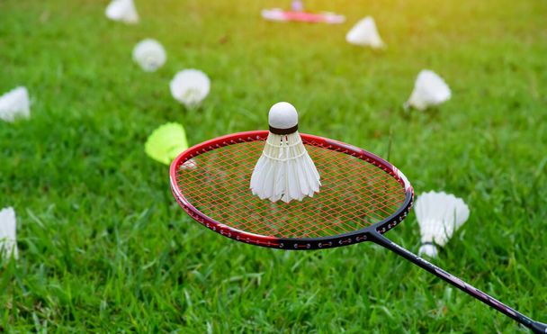 White cream badminton shuttlecock and badminton racket with blurred shuttlecocks on grasslawn background, concept for outdoor badminton playing, soft and selective focus. - Foto, imagen
