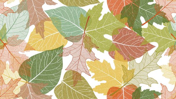 Zökkenőmentes minta őszi levelekkel - Vektor, kép