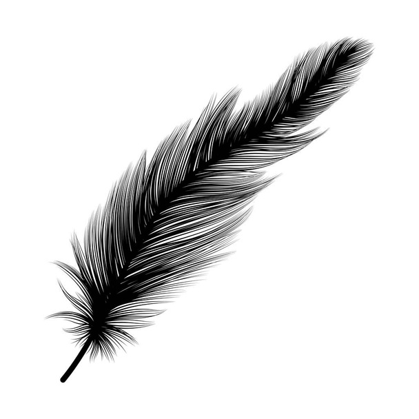 feather icon. black and white illustration. - Vector, afbeelding