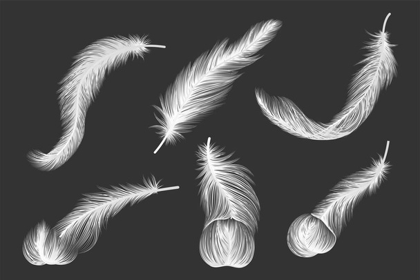 set of vector feathers, feather, bird - Vektor, kép