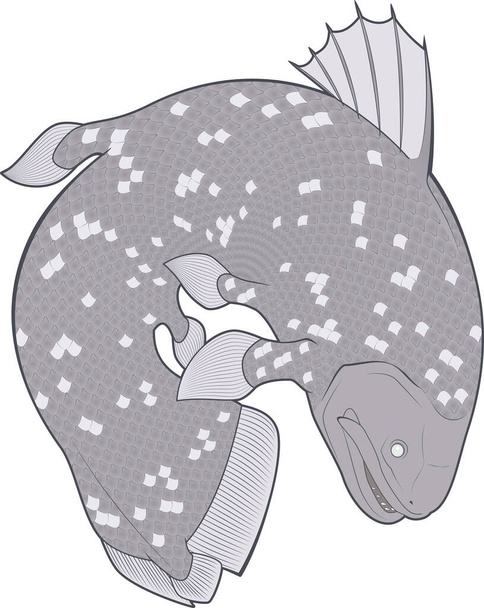 Illustration of a lively coelacanth - Vector, Image