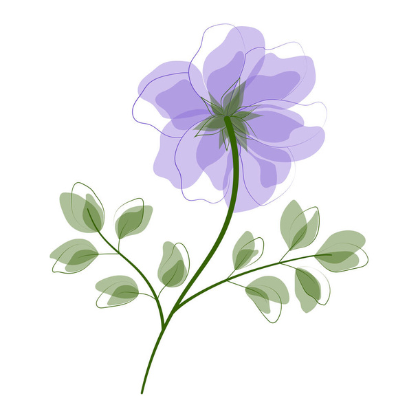 vektor illusztráció egy gyönyörű botanikai háttér - Vektor, kép