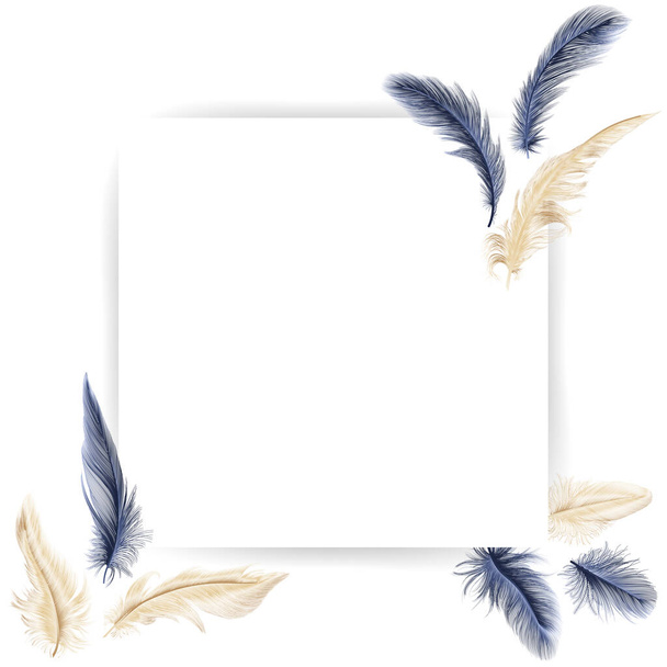 feather, watercolor, white background, illustration, - Vector, afbeelding