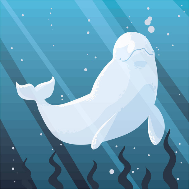 beluga underwater and seaweed, image - Вектор, зображення