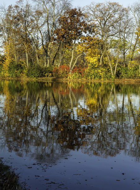 Fall Pond - Foto, afbeelding