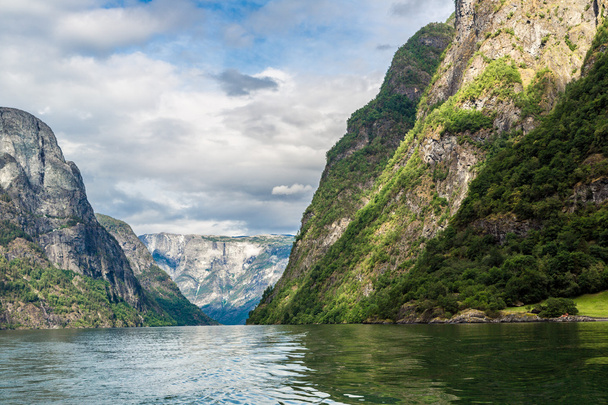 Sognefjord in Norway - Фото, изображение