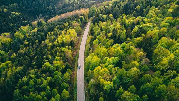 An aerial view of a route through a forest in Germany - Fotoğraf, Görsel