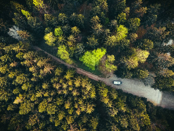 An aerial view of a truck on a route through a forest in Germany - 写真・画像
