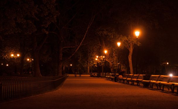 Passeggiata notturna in un parco
 - Foto, immagini