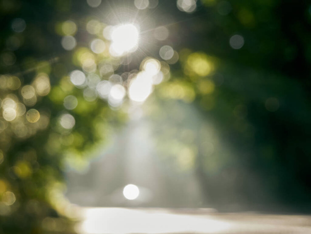 Natural blurred background with bokeh and sun light. - Photo, image