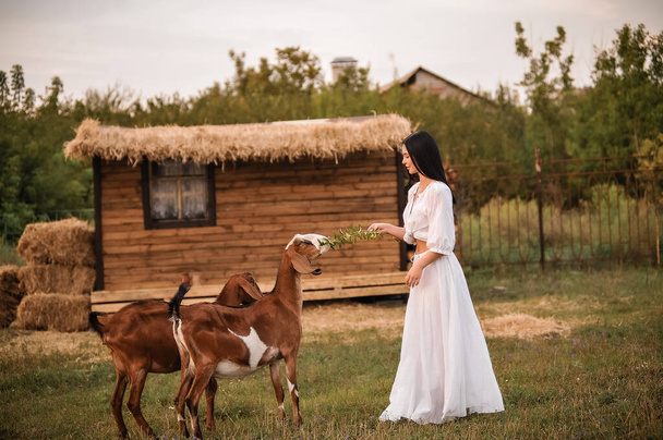 красива молода пара в білій сукні з конем у лісі
 - Фото, зображення