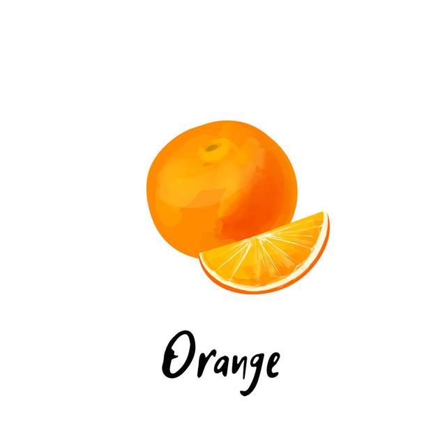 Иллюстрация апельсина на белом фоне. - Вектор,изображение