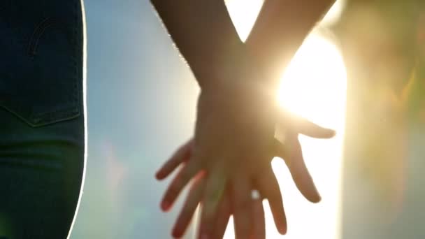 Közelkép, ahogy a kezek összekapcsolódnak a háttérben lévő napfénnyel. Gyönyörű romantikus pillanat két szerető között. - Felvétel, videó