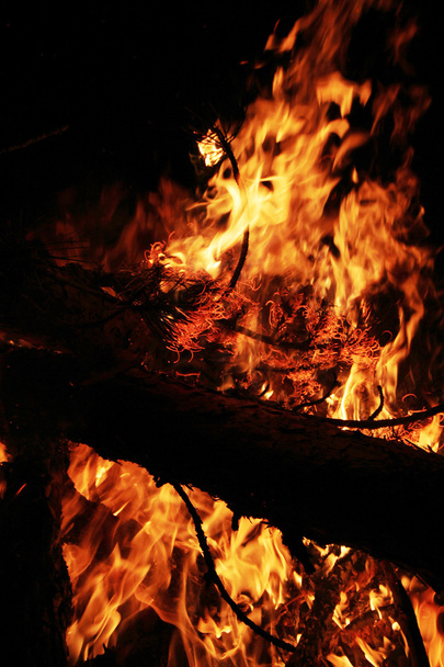 Campfire - Foto, immagini