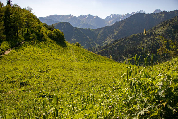 Landscapes Almaty mountains in summer. - Foto, afbeelding