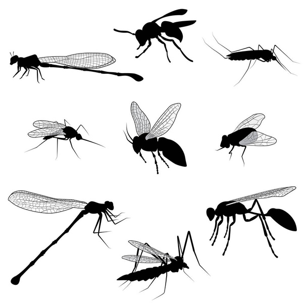 Силуэты летающих насекомых изолированы на белом фоне - Вектор,изображение