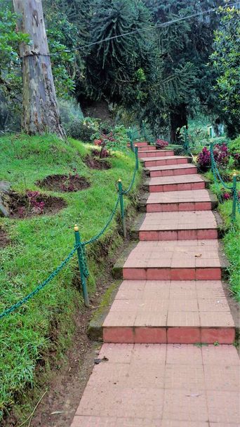 Ooty,Tamilnadu,India-April 30 2022: Beautiful Government botanical gardens in Ooty, Tamilnadu, India. Beset scenic place for familytime. - Photo, image