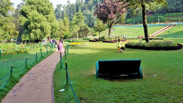 Ooty,Tamilnadu,India-April 30 2022: Beautiful Government botanical gardens in Ooty, Tamilnadu, India. Beset scenic place for familytime. - Foto, afbeelding