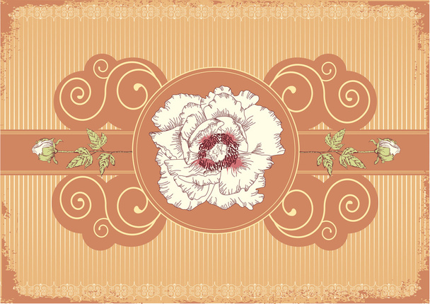 flowers postcard with peonies - Vector, Image