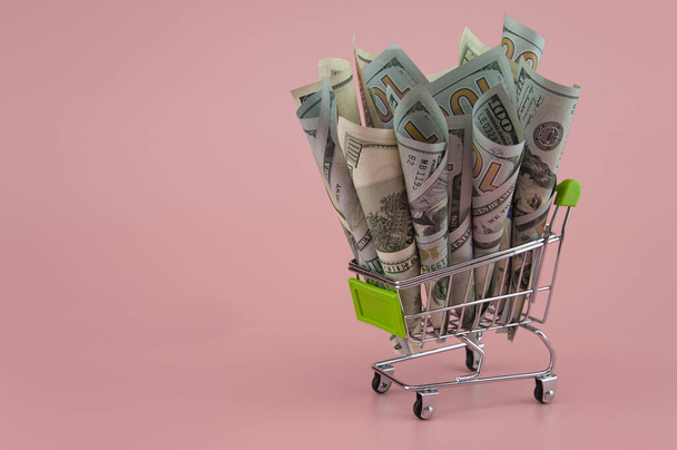 dollar bills in a supermarket trolley on a light background - Fotoğraf, Görsel
