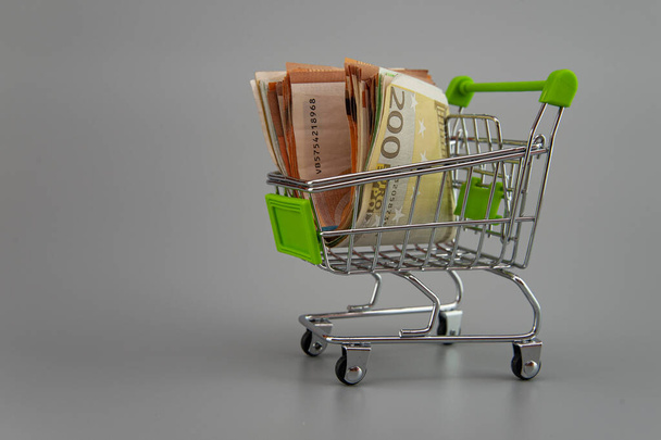 euro banknotes in supermarket trolley on gray background - Zdjęcie, obraz