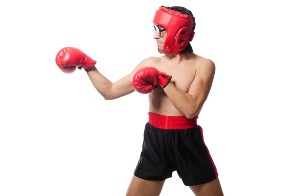 Boxer engraçado isolado no branco - Foto, Imagem