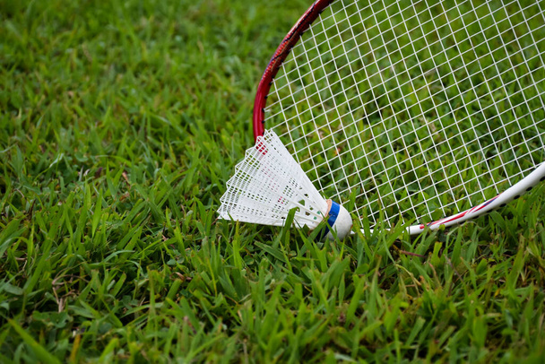 Picking up the badminton shuttlecock on grasslawn by using badminton racket, soft and selective focus on racket and shuttlecock, outdoor badminton playing concept. - Photo, image