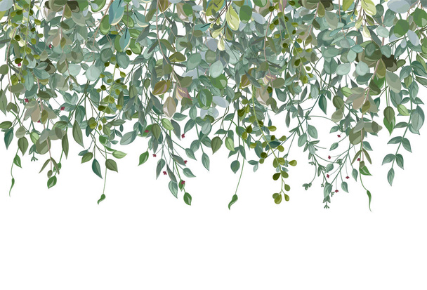 grüne Blätter isoliert auf weißem Hintergrund. - Vektor, Bild