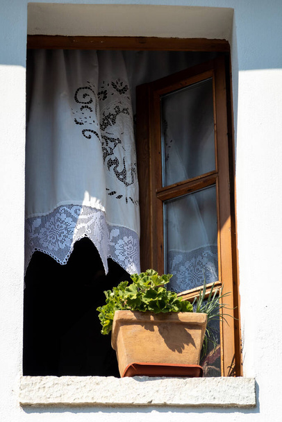 Gjirokaster, Albania July 20, 2022 An old window and a potted plant. - Foto, Bild