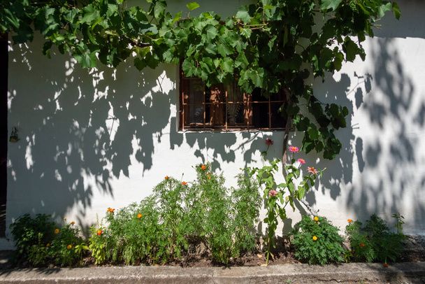 Permet, Albania A house facade with pants in the sun. - Zdjęcie, obraz