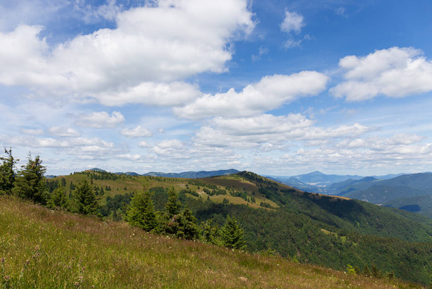 Summer Slovak Mountain Great Fatra, Velka Fatra, peaks Nova Hola (1361 m) and Zvolen (1403 m), views from them, Slovakia - Foto, Imagem