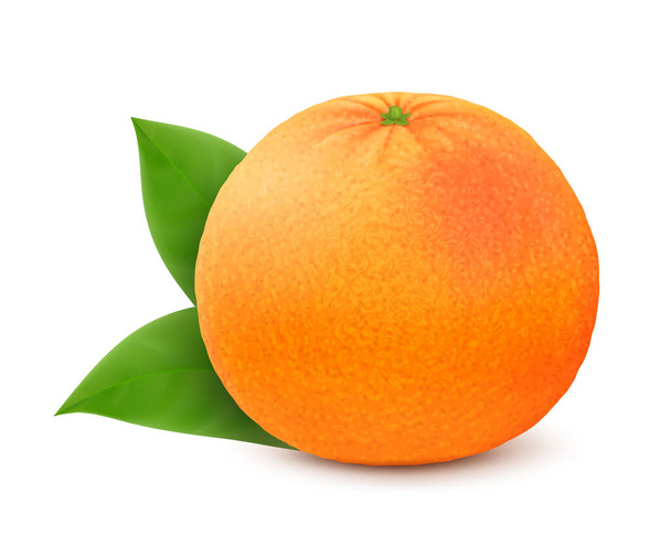 Érett, lédús grapefruit levelekkel, fehér alapon elszigetelve. Realisztikus 3D-s vektor illusztráció. - Fotó, kép