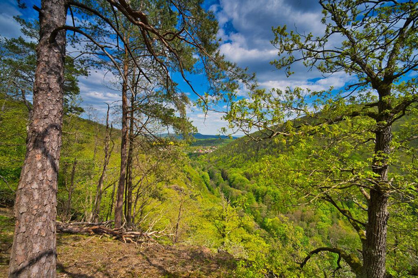 Ένα γραφικό τοπίο με το πράσινο δάσος της Θουριγγίας στα βουνά στο φως της ημέρας - Φωτογραφία, εικόνα